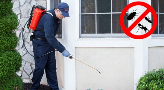 Çaybaşı Bit İlaçlama böcek ilaçlama ve haşere kontrolü — ilaclama-tr.com
